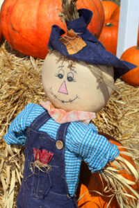 Hermosa Beach: Debbie & Jeff's Pumpkin Patch