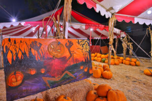 Redondo Beach: Acostas Pumpkin Patch
