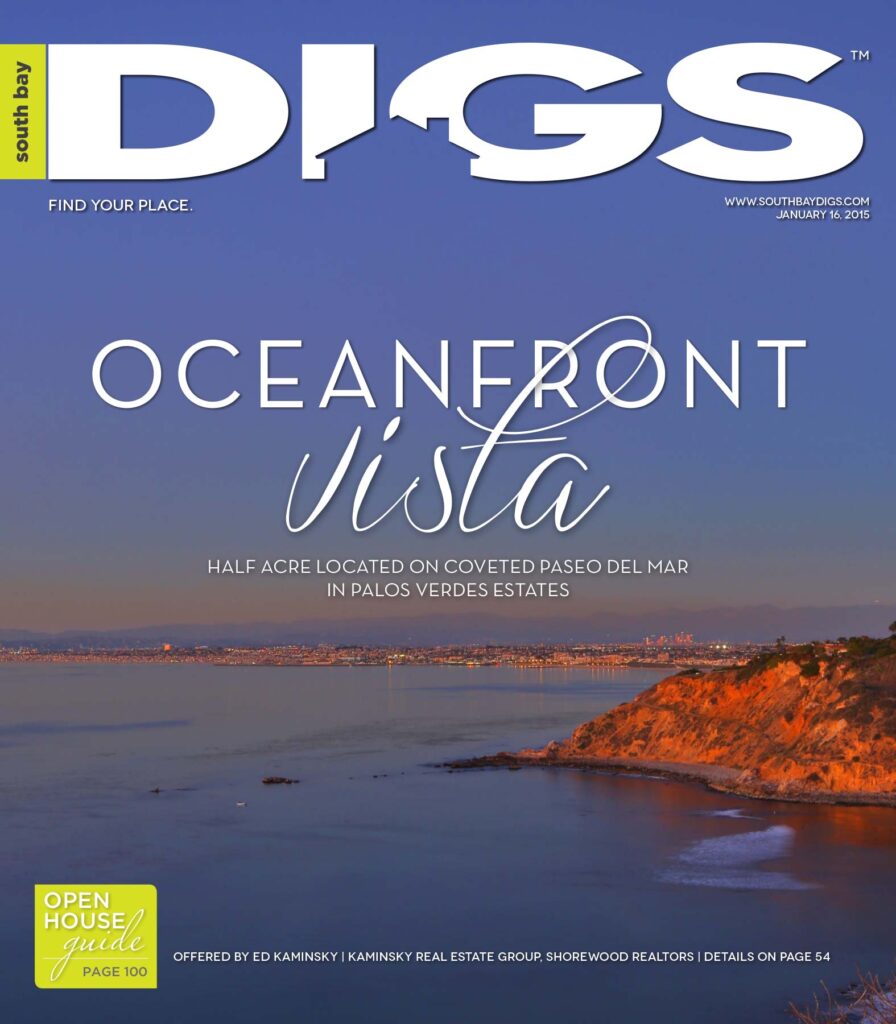 digs, south bay digs, magazine, issue 101, January 16, 2015