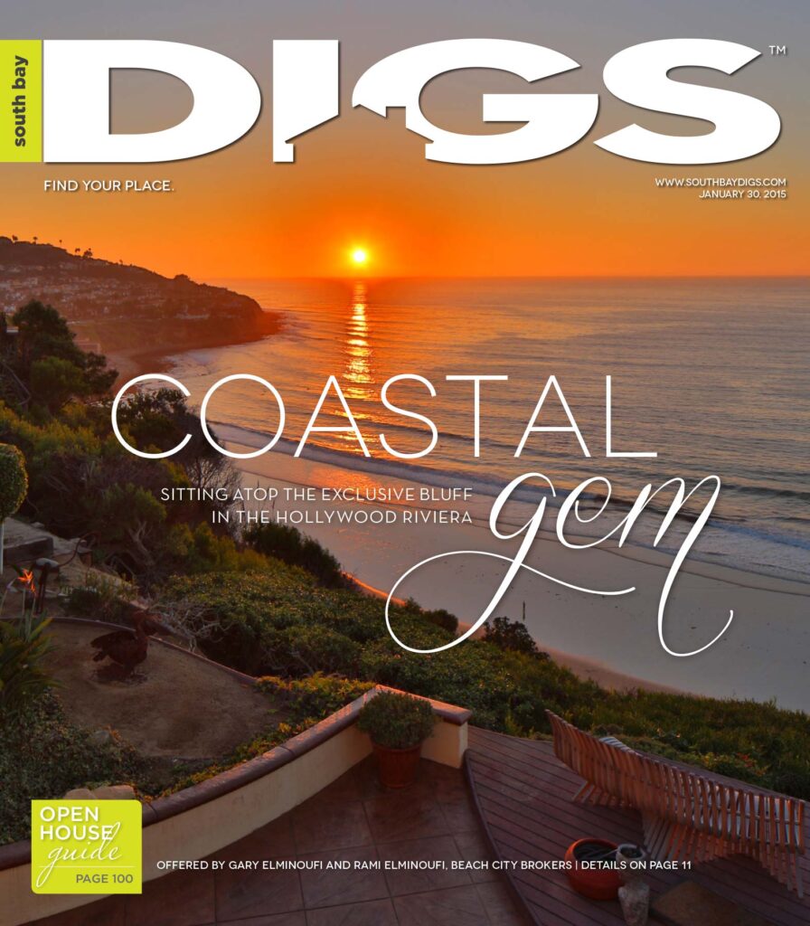digs, south bay digs, magazine, issue 102, January 30, 2015