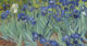 Irises Vincent Van Gogh, Getty Museum