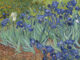 Irises Vincent Van Gogh, Getty Museum