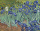 Irises Vincent Van Gogh, Getty Museum