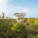 minimalist-mexican-boutique-hotel