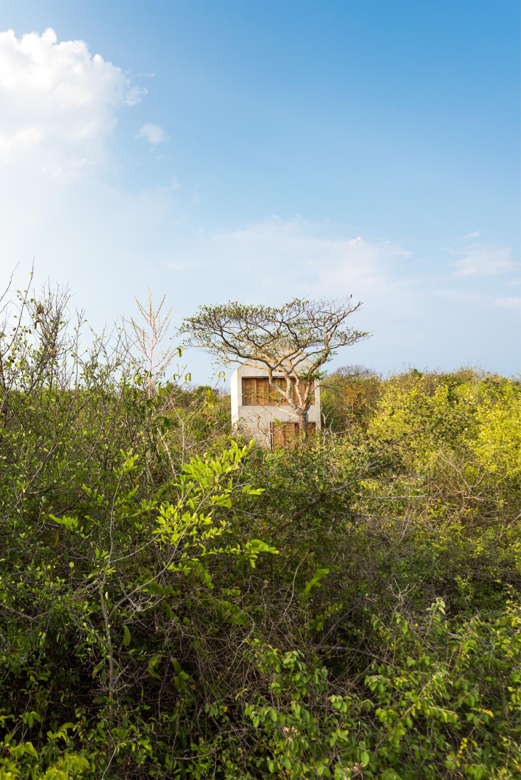 minimalist-mexican-boutique-hotel