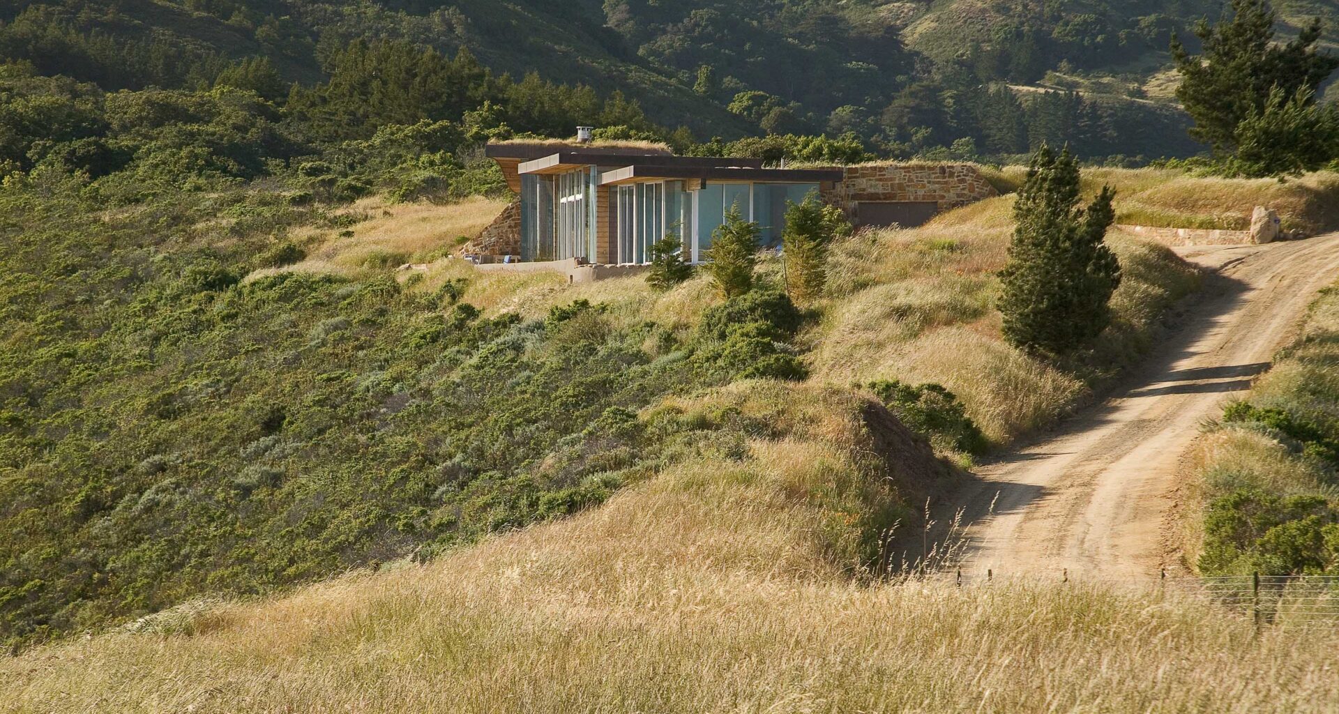 01 Treadwell_studioschicketanz_Big sur