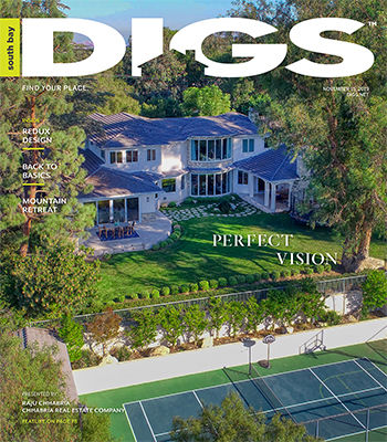 South bay digs November 15 2019