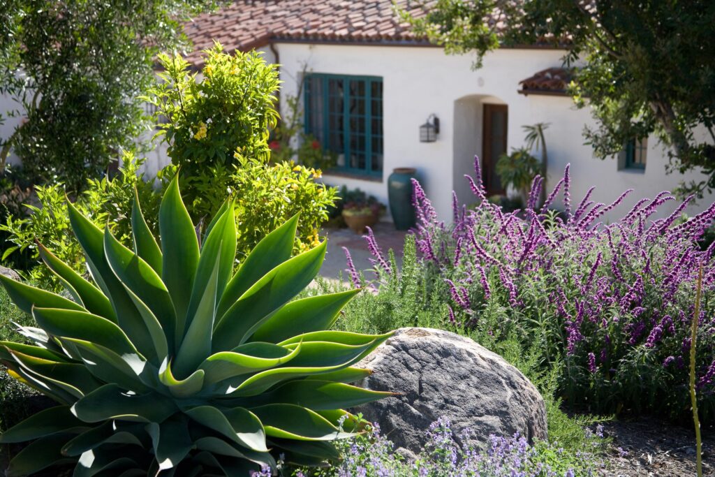 Uncontrived, lush with exotica and featuring ponds and porticos, stonework and sculpture, “garden” actually seems too provincial a term for the hybrids of function and fantasy that Grace creates. Hers is a fine eye and a remarkable hand. “As a licensed landscape contractor, I build what I design,” she says. “That’s when my work took a big leap forward. There is no separation between design, installation, and maintenance, it’s all one and happens on a continuum. Unless it’s integrated, it doesn’t work—period.” This is how she thinks too, both pragmatically and painterly. Much like an artist, she uses “broad and fine brushstrokes” to transform a two-dimensional canvas into a three-dimensional work of art. And in a systematic fashion; first is attending to infrastructure beneath the ground, then to its surface with the layering of elements. Rocks, for instance, are not so much placed as they are selected and then worked such that their shadows will cause additional depth or bring color forward. From there the garden grows. One also sees this artistry in Grace’s exquisite new tome Private Gardens of Santa Barbara: The Art of Outdoor Living (Gibbs Smith), a rapturous showcase of her elegant outdoor Edens, from rustic to coastal to modern. Each of the book’s made-to-age milieus represents a temple of residential garden know-how and is illustrative of nonderivative design that reflects the character of the native landscape. “The Art of Outdoor Living” idea certainly accounts for the substantial exterior living rooms and heated floors of our era. “About 10 percent of outdoor living comes down to ‘my fort is cooler than your fort,’” Grace refreshingly confesses. But at the root, “it is a way to describe a lifestyle connected to nature.” For Grace, who went from toiling in the family garden to forsaking a career in medicine after a 13-week stint as a park ranger proved she’d long lost her heart to the natural world, this is the point. “Step outside and you hear birdsong, you smell water evaporating. It’s a rich and simple experience, but relaxed and comfortable. We take a deep breath and feel better. It’s so automatic we don’t even think of it, but it is a very profound thing. It’s experiential, there is intentionality to it.” Landscape as soul, nature as a relief—what a thing of beauty. gracedesignassociates.com Photos: Grace Design Associates And Holly Lepere Johnson (Home).