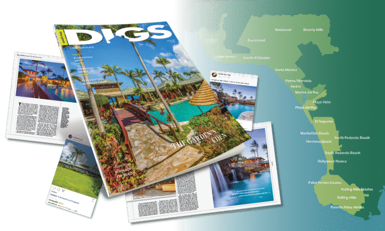 hawaii digs magazine mockup