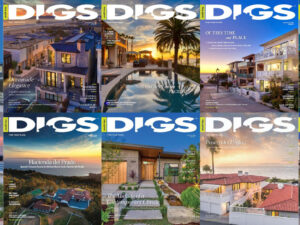 cover of magazine DIGS
