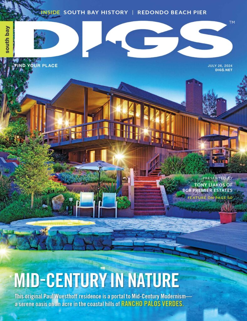 south bay digs July 26 2024 cover