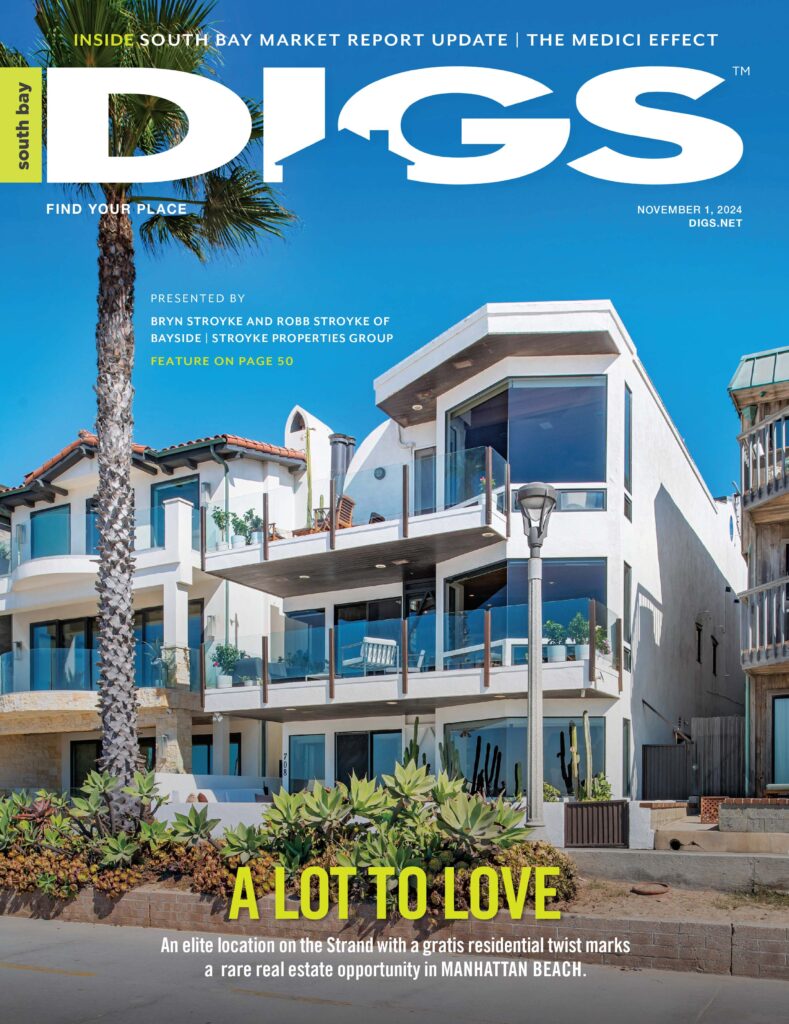 south bay digs November 1, 2024 cover