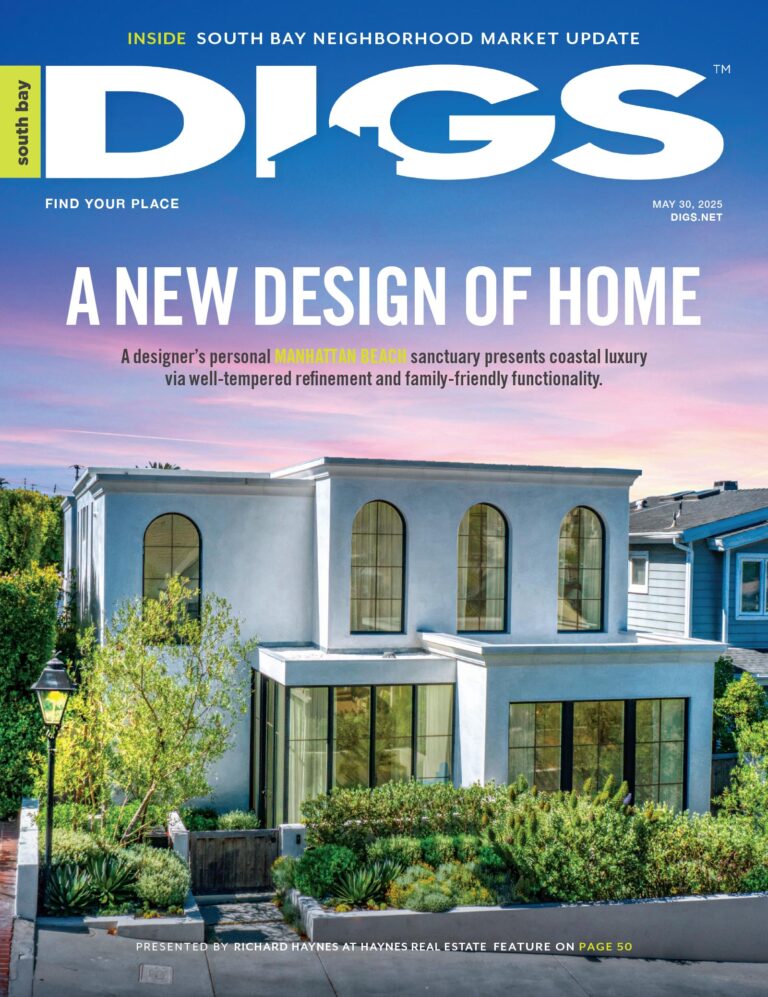 south bay digs May 30, 2025 cover