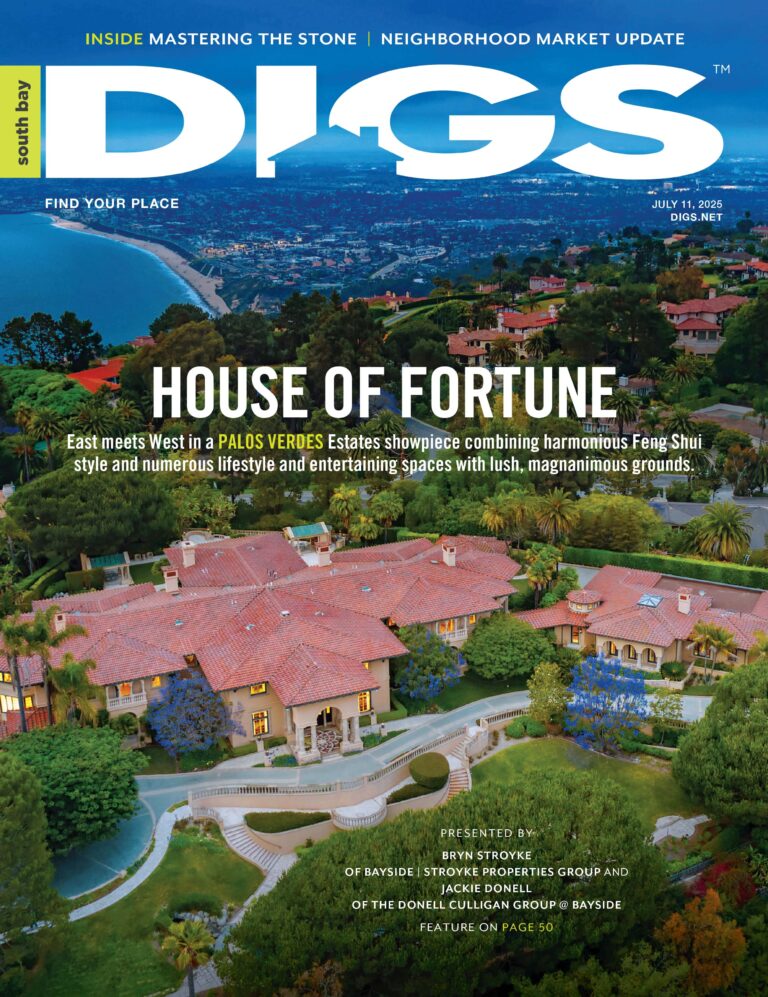 south bay digs July 11, 2025 cover
