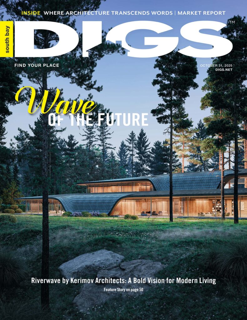 south bay digs October 31, 2025 cover