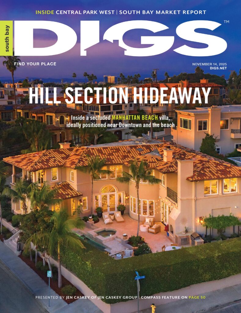 south bay digs November 14, 2025 cover