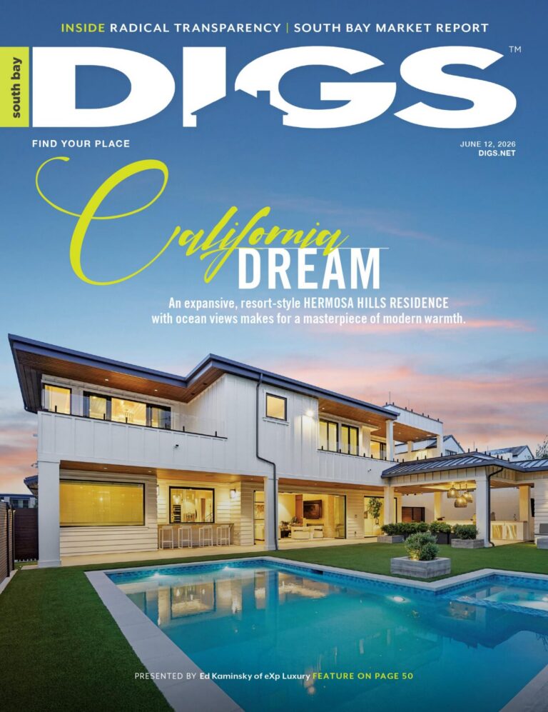 south bay digs June 12, 2026 cover