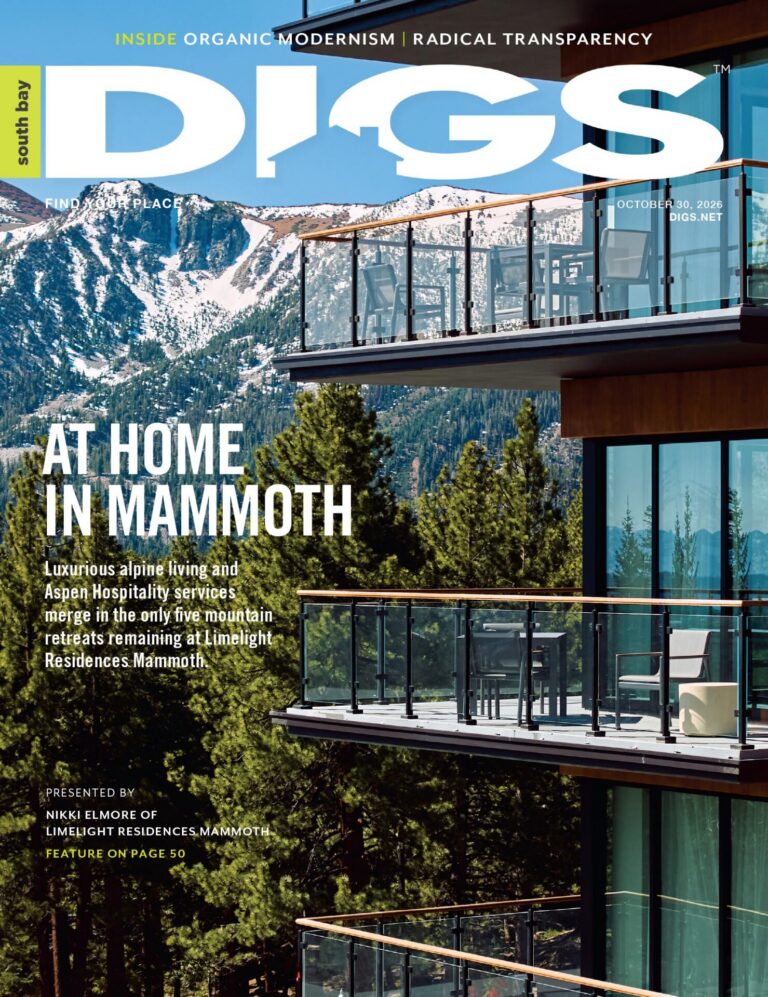south bay digs October 30, 2026 cover