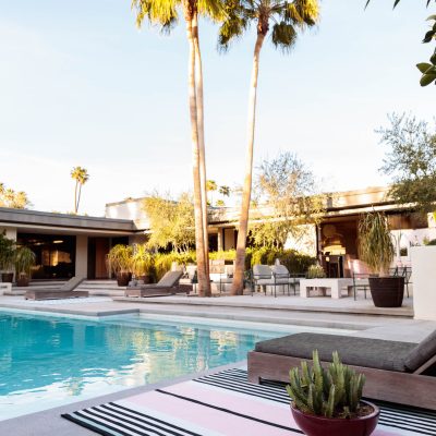 CC_PERENNIALS_CULVER MINT_R