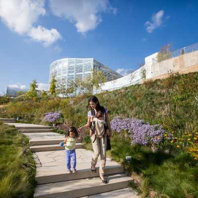 center-for-sustainable-landscapes-path_credit-annie-oneill