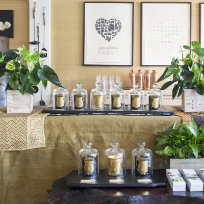 Dascha-featuredimage