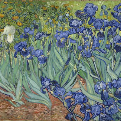 Irises Vincent Van Gogh, Getty Museum