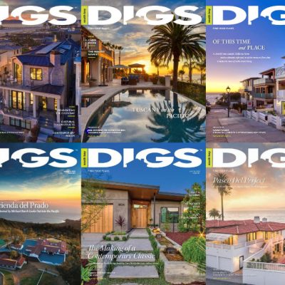 cover of magazine DIGS